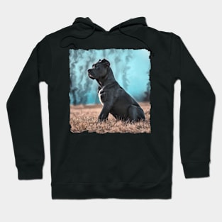 Cane Corso Dog Hoodie